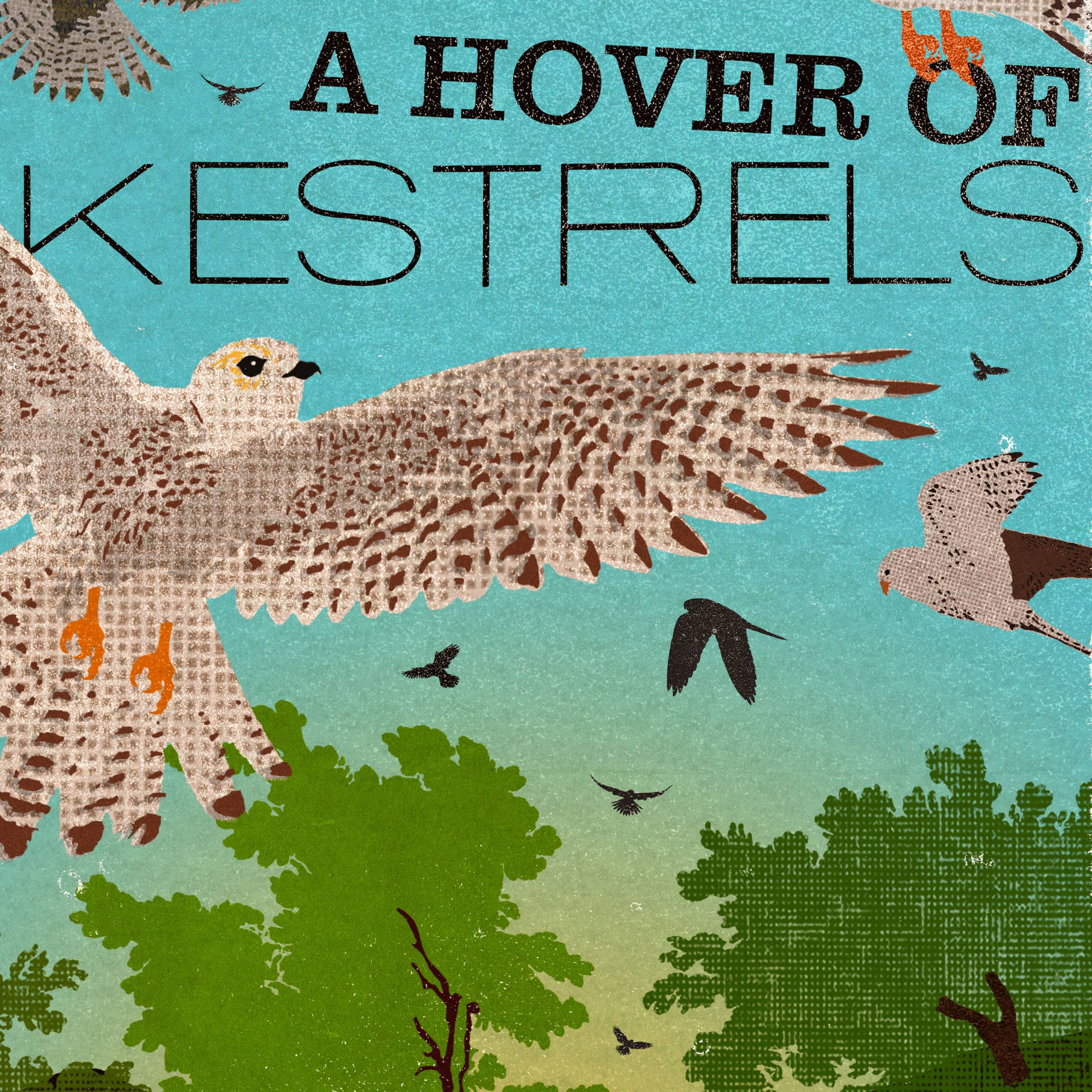 MinaLima - A Hover of Kestrels プリント