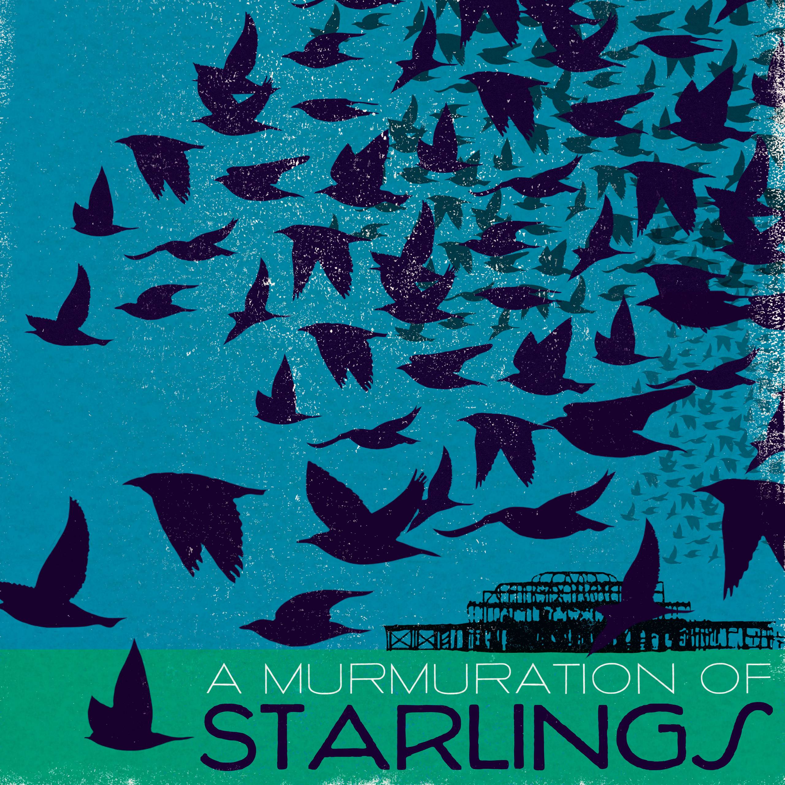 MinaLima - A Murmuration of Starlings プリント