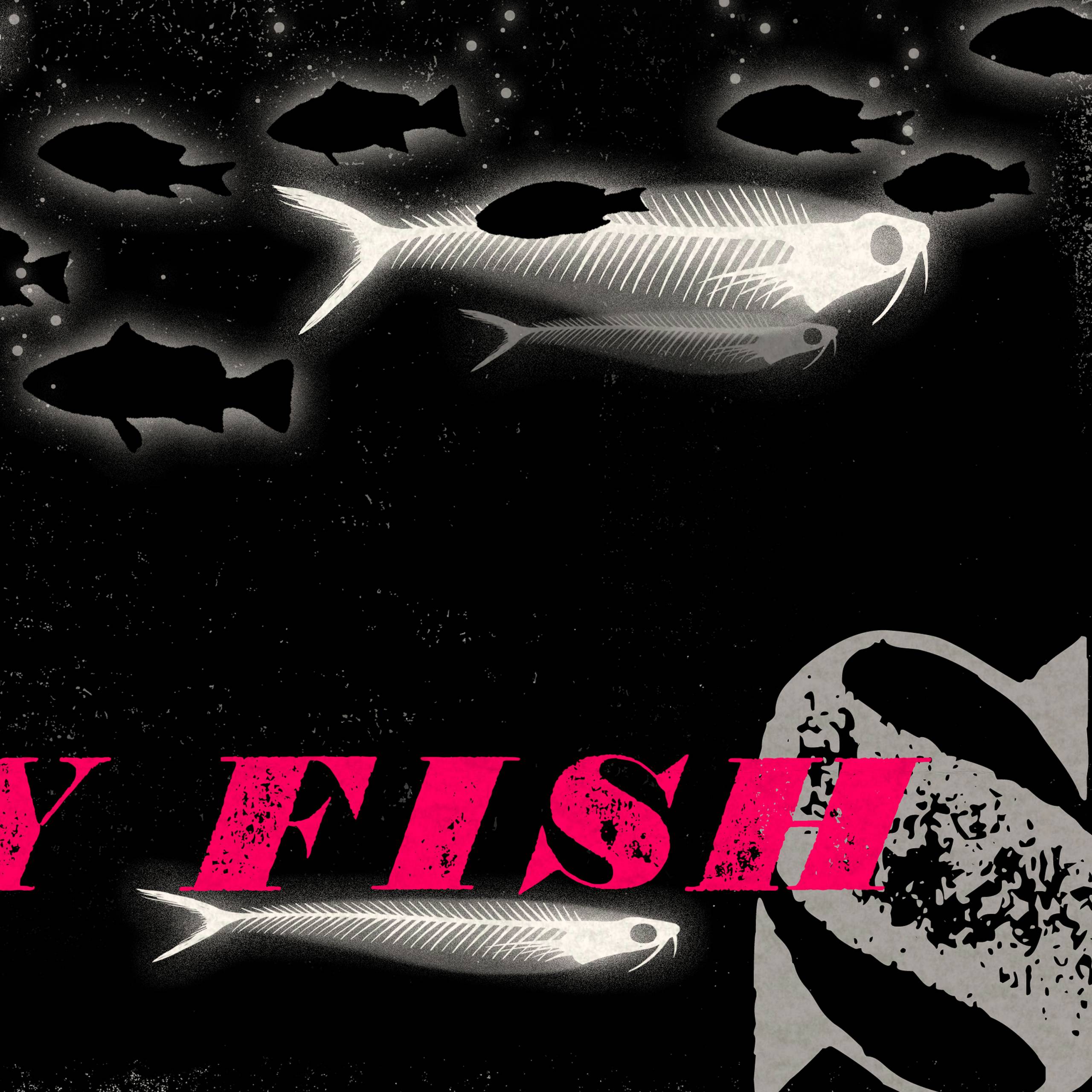 MinaLima - A Shoal of X-Ray Fish プリント